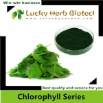 Chlorophyll