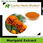 Marigold Extract