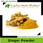 Ginger Powder