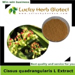 Cissus Quadrangularis L Extract