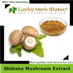 Shiitake Mushroom Extract