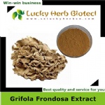 Grifola Frondosa Extract