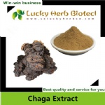 Chaga Extract