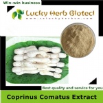 Coprinus Comatus Extract