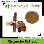 Cistanche Extract